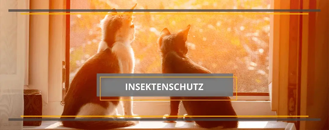 Insektenschutz Time4Blinds.de