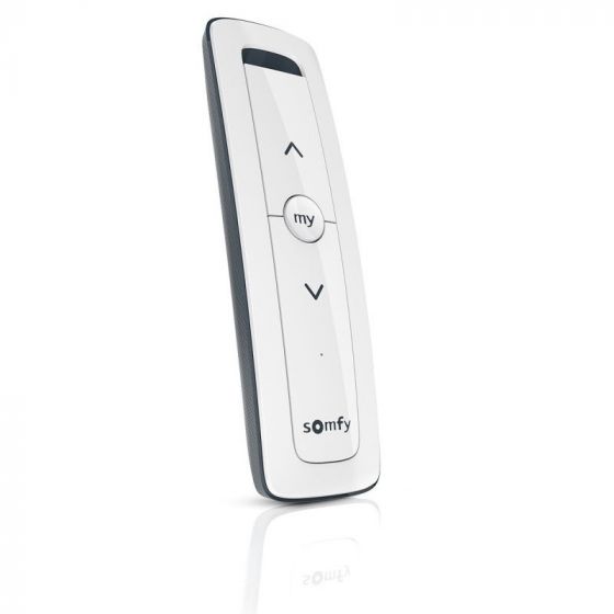 Pilot Somfy Situo RTS pure 1